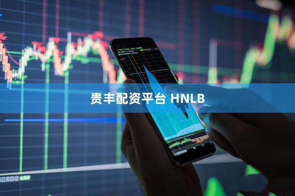 贵丰配资平台 HNLB